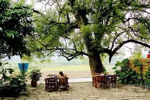 Những sai lầm trong phong thủy nhà ở khiến chàng trăng hoa