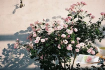 Dự đoán ngày mới 10/02/2018 cho 12 con giáp