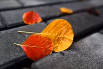  Dự đoán ngày mới 02/02/2018 cho 12 con giáp