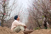 Giải mã mùa đông nóng kỷ lục trong 10 năm qua