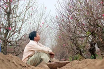 Giải mã mùa đông nóng kỷ lục trong 10 năm qua