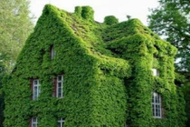 Tầm quan trọng của Minh tài vị trong phong thủy nhà ở