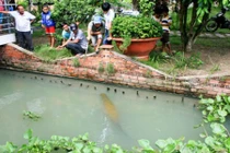 Người đàn ông Tây Ninh nuôi “thủy quái” trong vườn nhà
