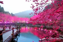 Bí quyết thúc vượng đào hoa chiếu mệnh trong năm 2016