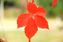 Dự đoán ngày mới 12/01/2018 cho 12 con giáp