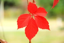 Dự đoán ngày mới 12/01/2018 cho 12 con giáp