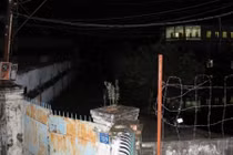 Hổ cắn chết người nuôi ở Bình Dương: Run người nghe tiếng gầm ngày đêm