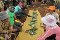 Chia nhau ăn thịt bò, 59 người nhập viện cấp cứu