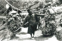 Ảnh độc về Trung Quốc thế kỷ 19 của Sidney Gamble 