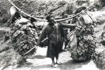 Ảnh độc về Trung Quốc thế kỷ 19 của Sidney Gamble 