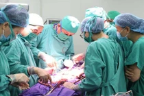  Quảng Ninh: Cứu sản phụ trẻ hôn mê sâu, ngừng tuần hoàn nguy kịch