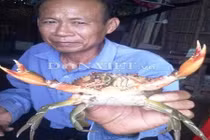 Kinh hoàng bắt được cua biển có càng mọc ở mắt