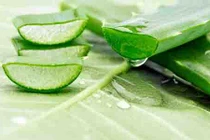 4 món ăn đơn giản giúp “đánh bay” chứng táo bón lâu ngày