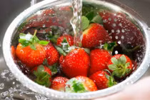 Bí quyết bảo quản trái cây luôn tươi ngon trong mùa hè