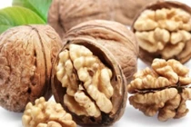  Sĩ tử xưa đi thi... ăn gì để bổ não?