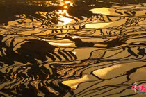 Ngỡ ngàng vẻ kỳ vĩ của ruộng bậc thang nghìn năm tuổi 