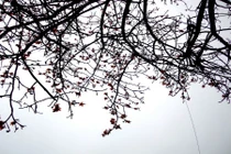 Tuyệt chiêu khai thông tài vận cho nhà cũ năm 2016