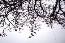 Tuyệt chiêu khai thông tài vận cho nhà cũ năm 2016