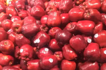  'Biến hóa' xuất xứ trái cây: Rước họa vào thân!