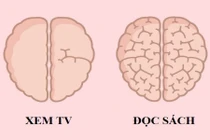 7 thói quen có thể làm thay đổi não bộ