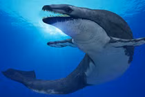 Quái vật tiền sử "thằn lằn chúa" chuyên săn cá voi 