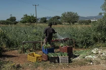 Góc khuất cuộc sống người nhập cư Pakistan tại Hy Lạp