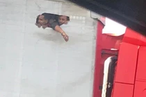 Cảnh người nhập cư tuyệt vọng đục lỗ trên thùng xe tải để thở gây sốc