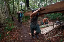 Colombia: FARC rục rịch chuẩn bị ký thỏa thuận hòa bình