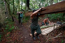 Colombia: FARC rục rịch chuẩn bị ký thỏa thuận hòa bình