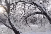 Mùa đông trắng xóa ở đông bắc Trung Quốc