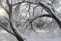 Mùa đông trắng xóa ở đông bắc Trung Quốc