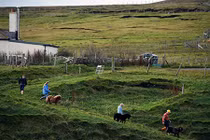 Cận cảnh cuộc sống trên hòn đảo hẻo lánh nhất nước Anh