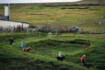 Cận cảnh cuộc sống trên hòn đảo hẻo lánh nhất nước Anh