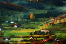 Khuôn hình đắt giá của mùa thu Romania từ máy ảnh rẻ tiền
