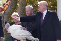 Ông Trump "xá tội" cho gà tây tại Nhà Trắng nhân dịp Lễ Tạ ơn