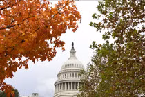 Chính phủ Mỹ đối diện với nguy cơ bị đóng cửa