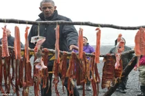 Những ngày “đi bụi” của Tổng thống Obama