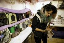 Cô gái Israel kỳ lạ nuôi hàng chục con dơi