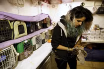 Cô gái Israel kỳ lạ nuôi hàng chục con dơi