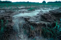 Những vấn đề sinh thái đáng báo động trong thế kỷ 21