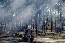 Dự báo thời tiết 28/4: Miền Bắc tăng nhiệt, Đà Lạt rét 16 độ