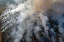 Cháy rừng Amazon dữ dội, Brazil tức tốc điều chiến đấu cơ dập lửa