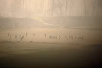 Sương mù dày đặc bao trùm nhiều khu vực trên thế giới