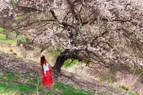 Bật mí thú vị vùng đất sản sinh các "tuyệt sắc giai nhân"