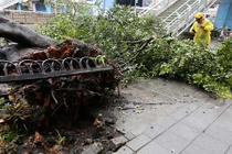 Loạt ảnh gây sốc về siêu bão Maria càn quét đảo Đài Loan