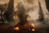 Kinh hoàng cảnh cháy rừng dữ dội ở Châu Âu