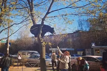 Loạt hình hài hước, kỳ quặc chỉ có ở nước Nga khiến ai cũng ngỡ ngàng