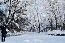 Thủ đô Tokyo trắng xóa trong đợt tuyết rơi dày kỷ lục