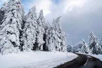 Giáng sinh Châu Âu chìm trong băng giá với mùa đông lạnh kỷ lục