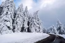 Giáng sinh Châu Âu chìm trong băng giá với mùa đông lạnh kỷ lục